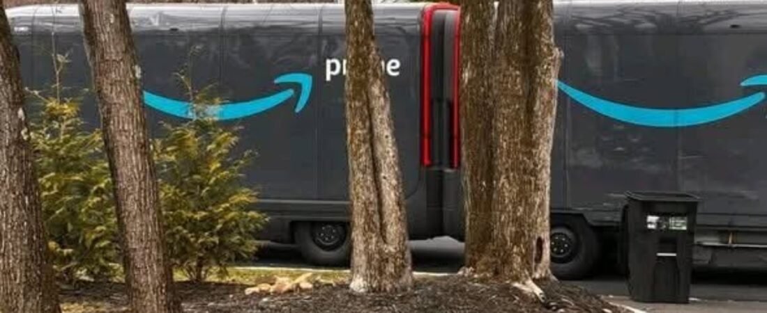 These amazon vans are knotted?
