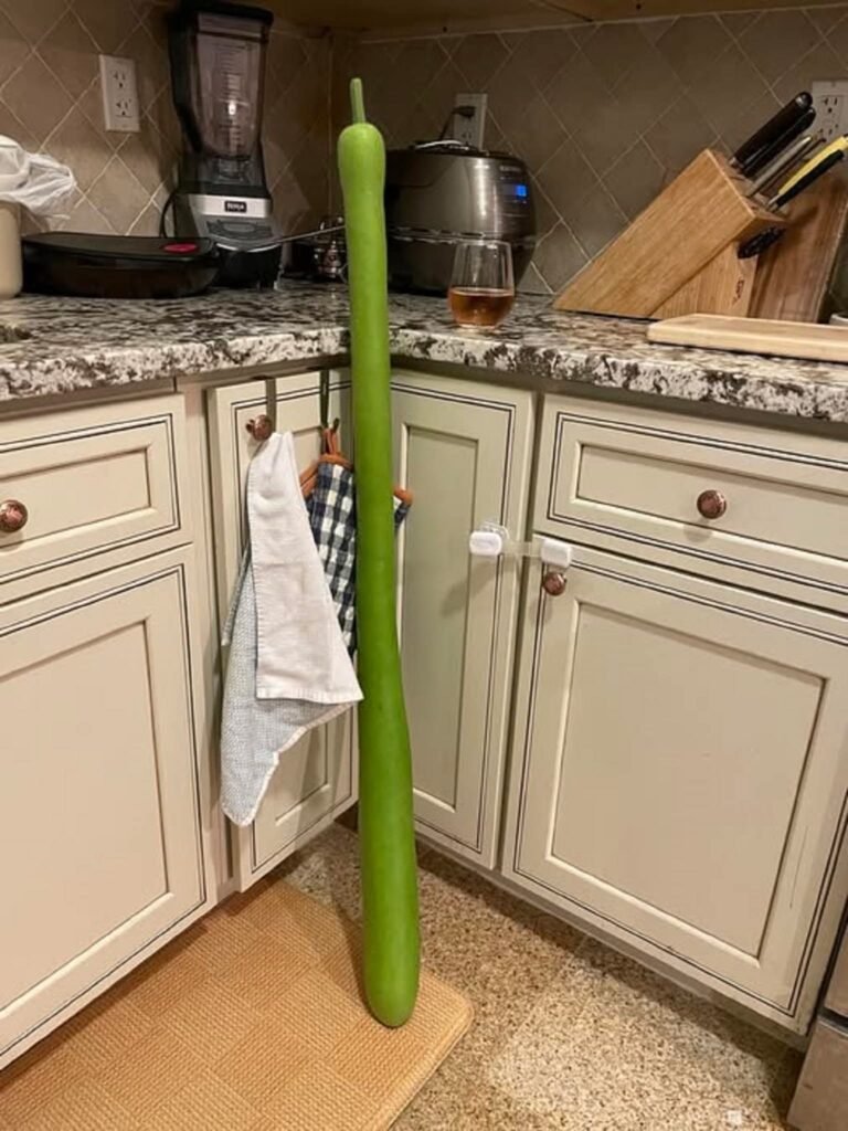 Truckstop gifts for the wife hit differently these days.