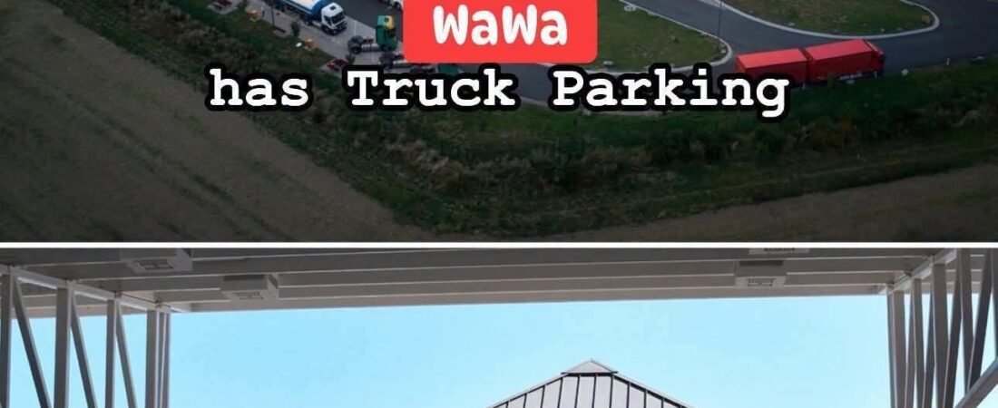 WAWA for the WINNNNNNN…