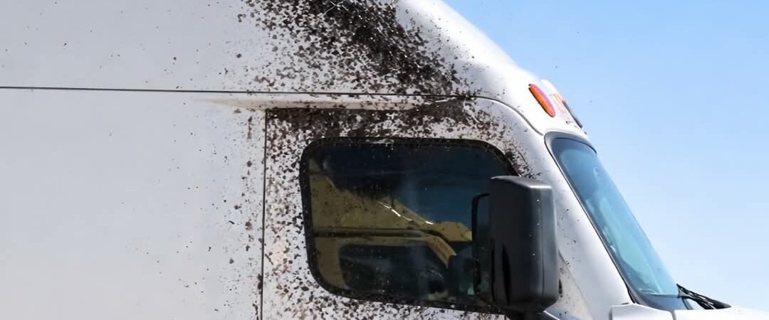 WTF HAPPENED TO YOU, DRIVER?