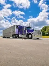 Rig photo — Truck Stop