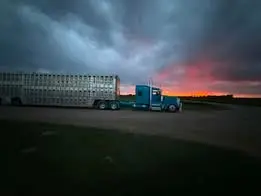 Rig photo — Truck Stop