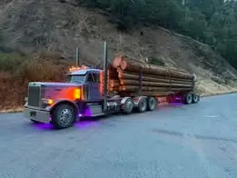 Rig photo — Truck Stop