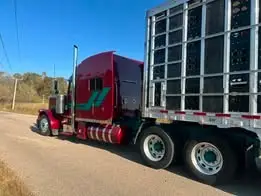 Rig photo — Truck Stop
