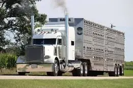 Rig photo — Truck Stop