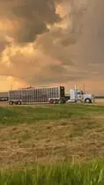 Rig photo — Truck Stop