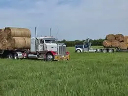 Rig photo — Truck Stop