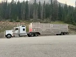 Rig photo — Truck Stop
