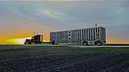 Rig photo — Truck Stop